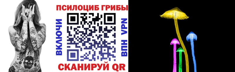 ссылка на мегу ССЫЛКА  купить  сайты  Бирюсинск  Галлюциногенные грибы Psilocybe 